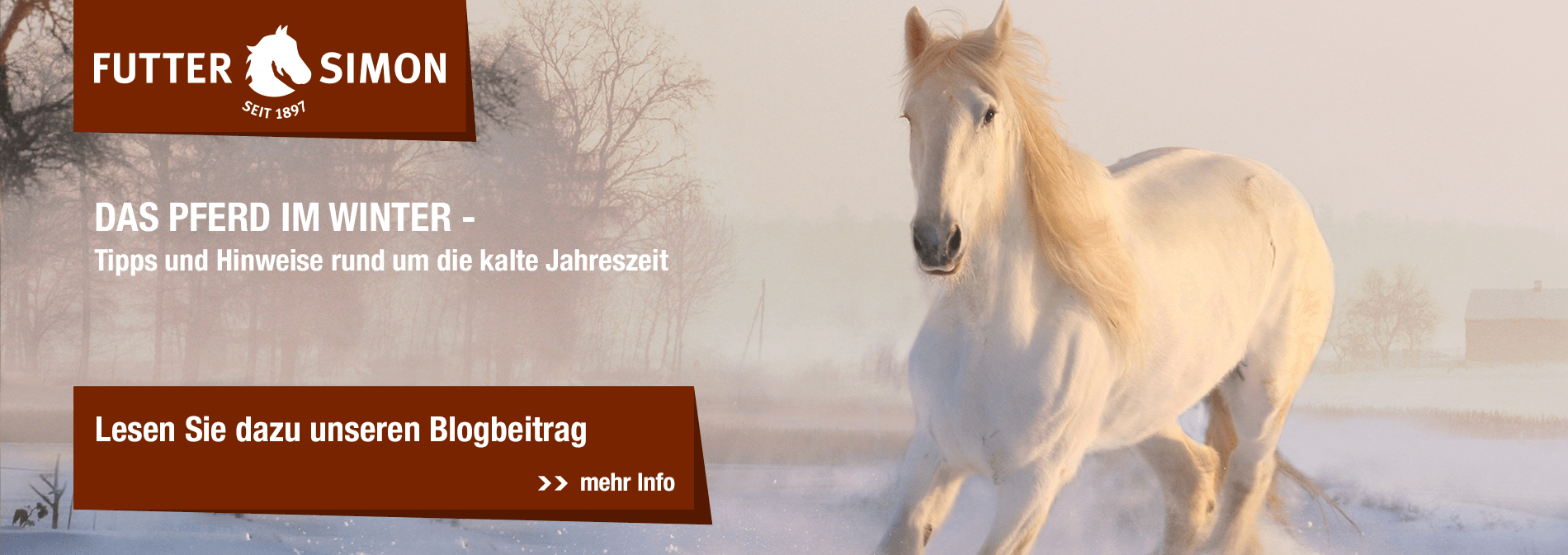 Blogbeitrag: Das Pferd im Winter