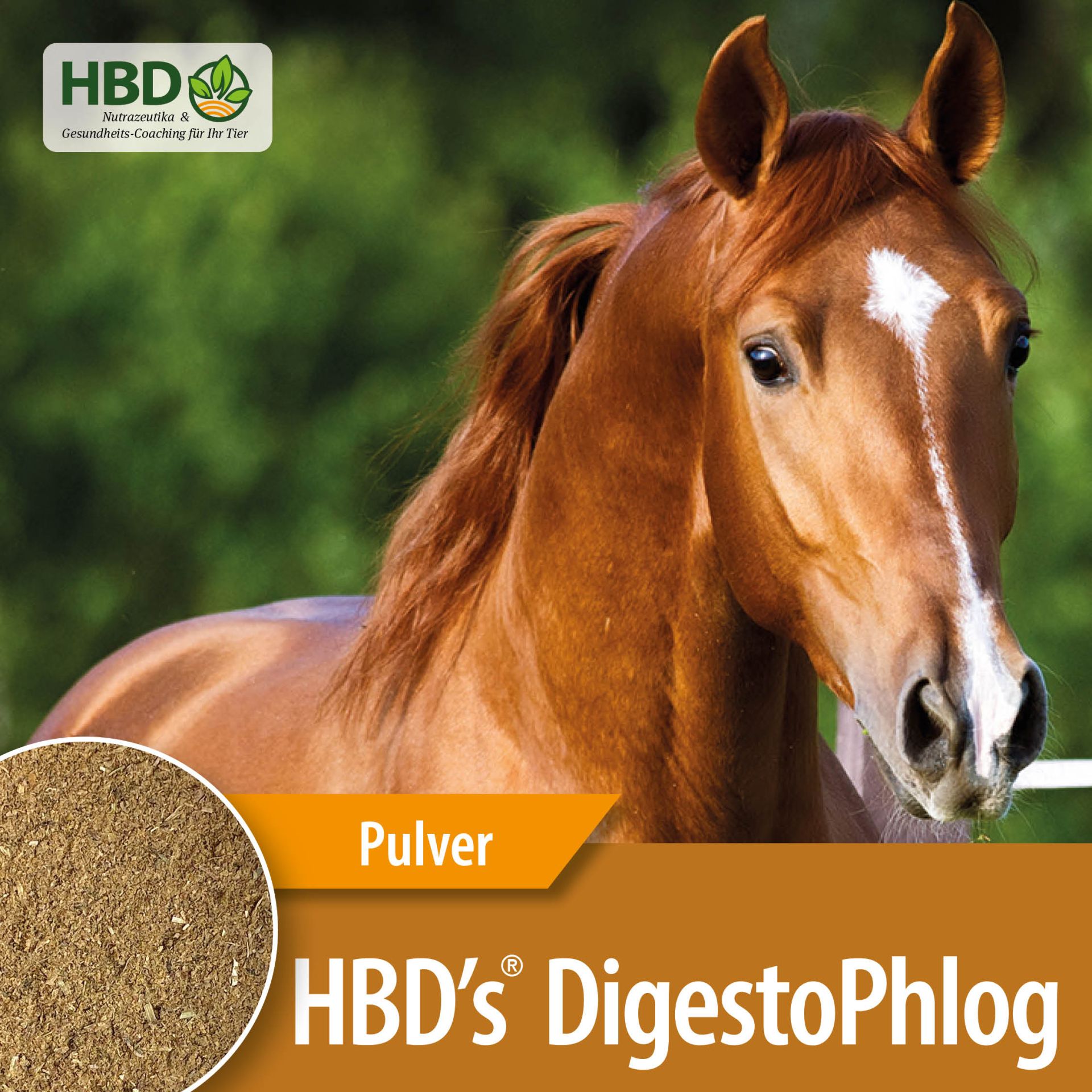 HBD-Agrar - HBD's® DigestoPhlog - Nutrazeutikum für den Magen des Pferdes