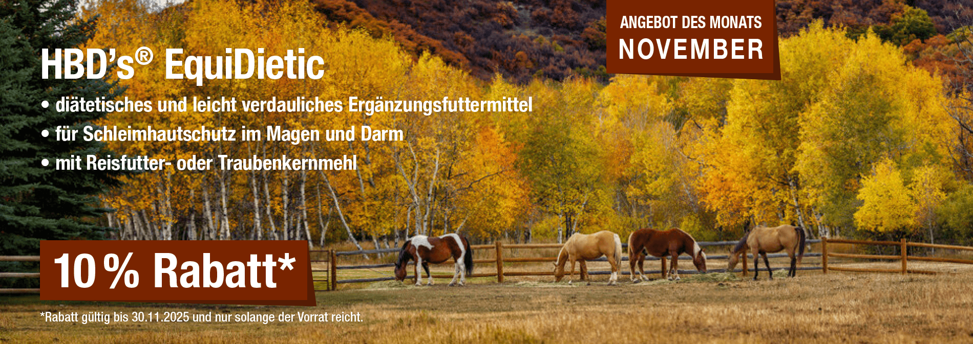 Monatsaktion November 2025