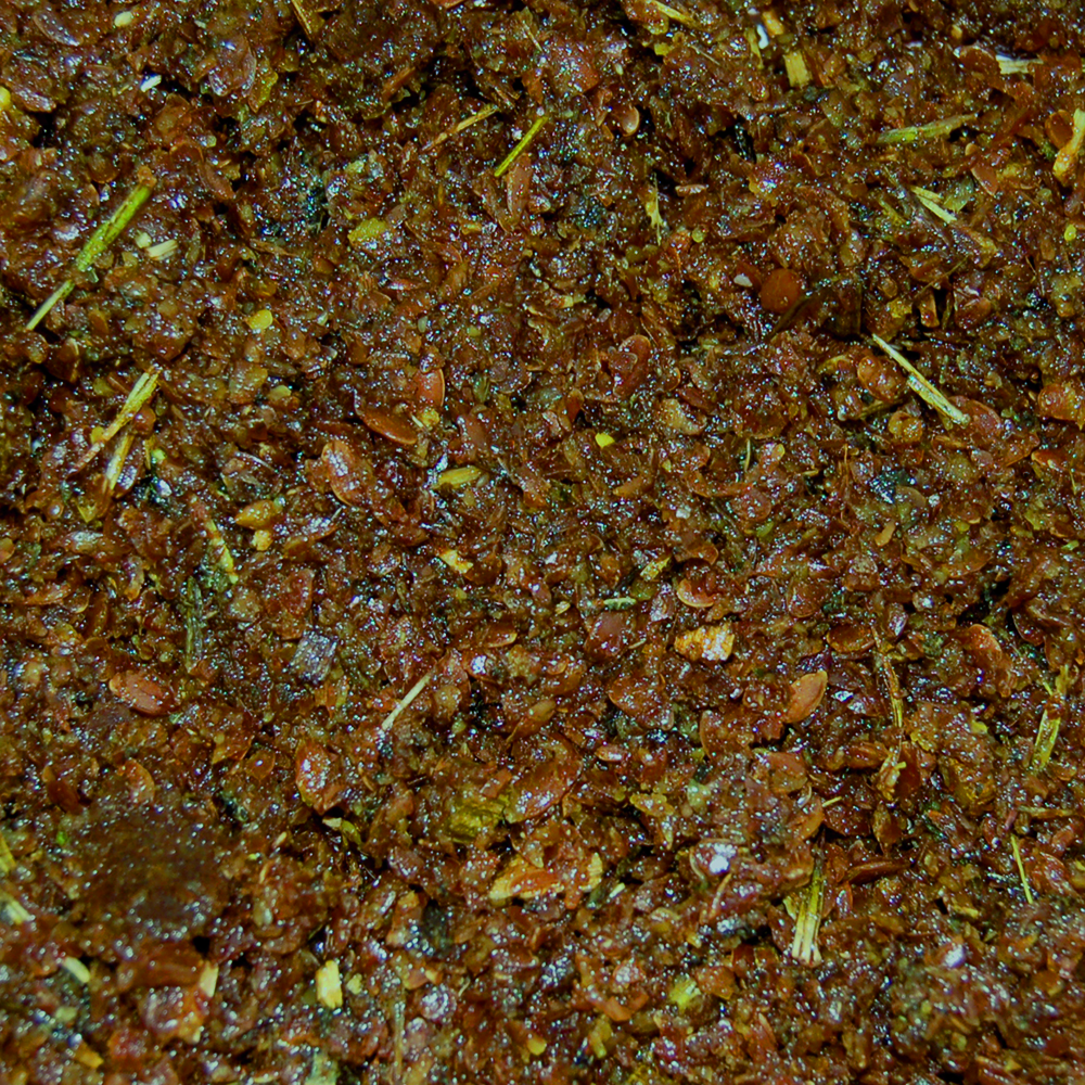 Nösenberger - Immunkonzentrat - Aufbaupräparat aus Leinsamen, Leinöl und Echinacea purpurea