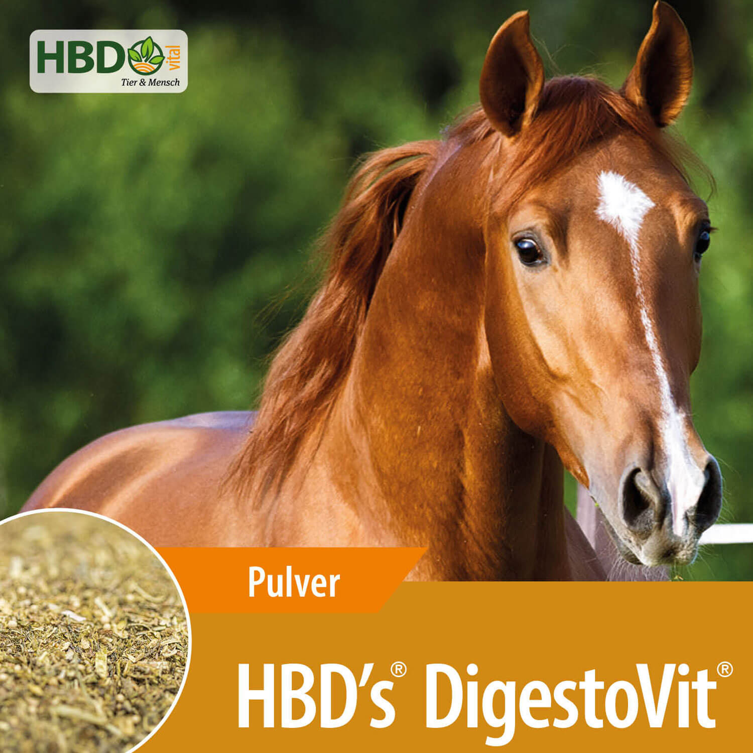 HBD-Agrar - HBD's® DigestoVit® - Neuartiges Nutrazeutikum bei Störungen im Darmtrakt HBD-Agrar - HBD's® DigestoVit® - Neuartiges Nutrazeutikum bei Störungen im Darmtrakt