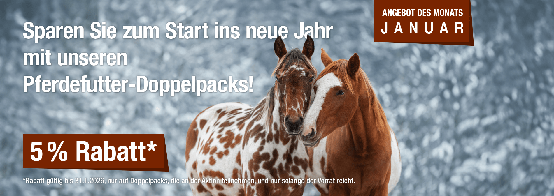 Monatsaktion Januar 2026