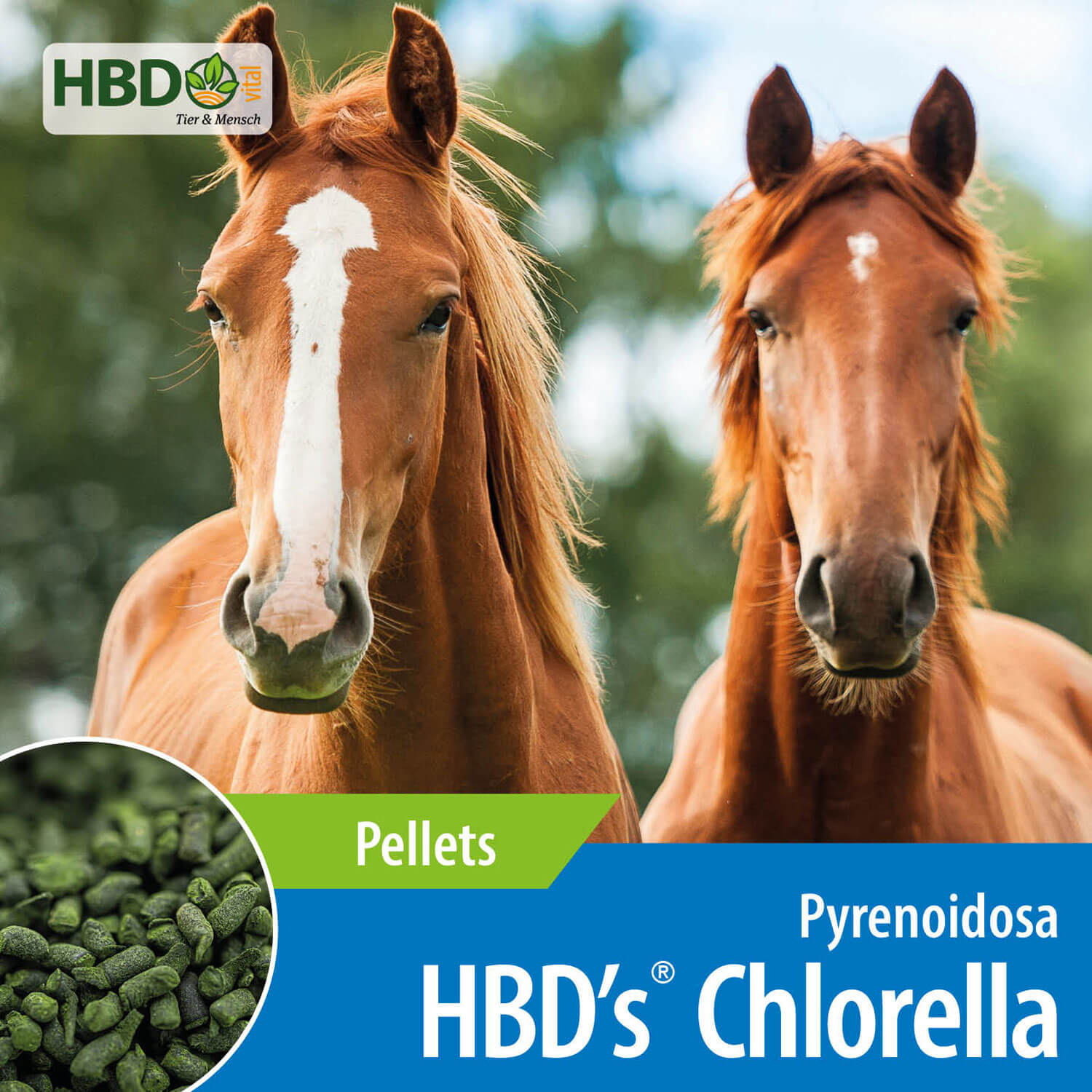 HBD-Agrar - HBD's® Chlorella Pyrenoidosa - Mini-Pellets aus Süßwasseralge mit entgiftender Wirkung