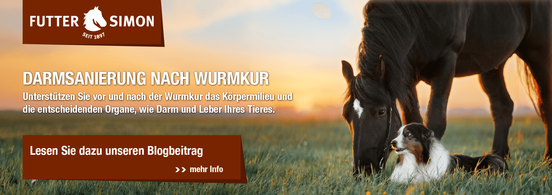 Blogbeitrag: Darmsanierung nach Wurmkur