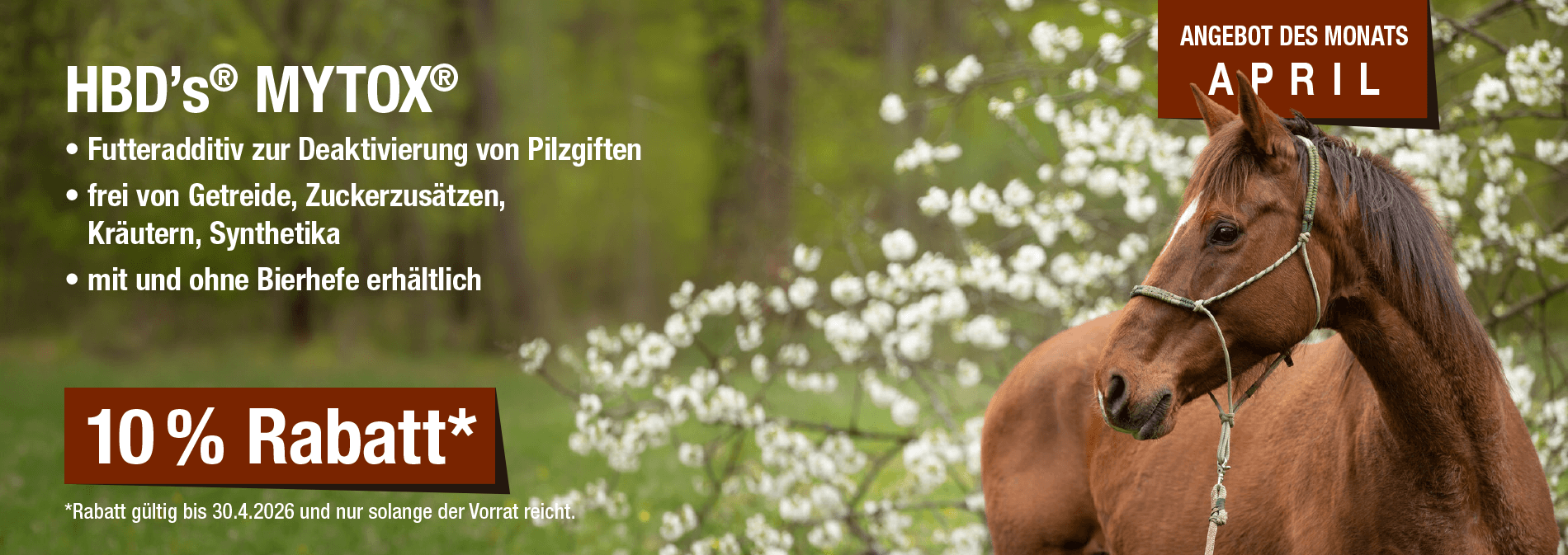 Monatsaktion April 2026
