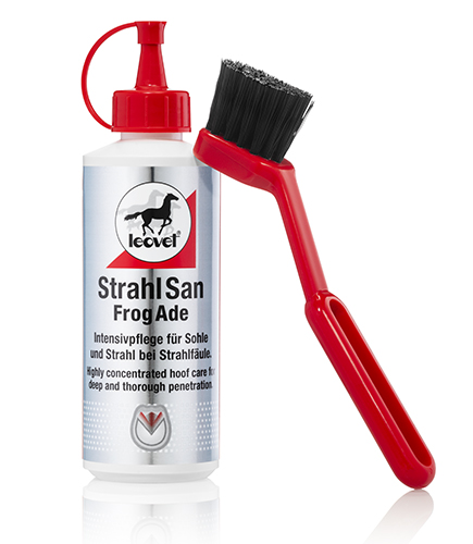 Leovet - StrahlSan mit Pinsel - Intensivpflege für Sohle und Strahl bei Strahlfäule Leovet - StrahlSan mit Pinsel - Intensivpflege für Sohle und Strahl bei Strahlfäule