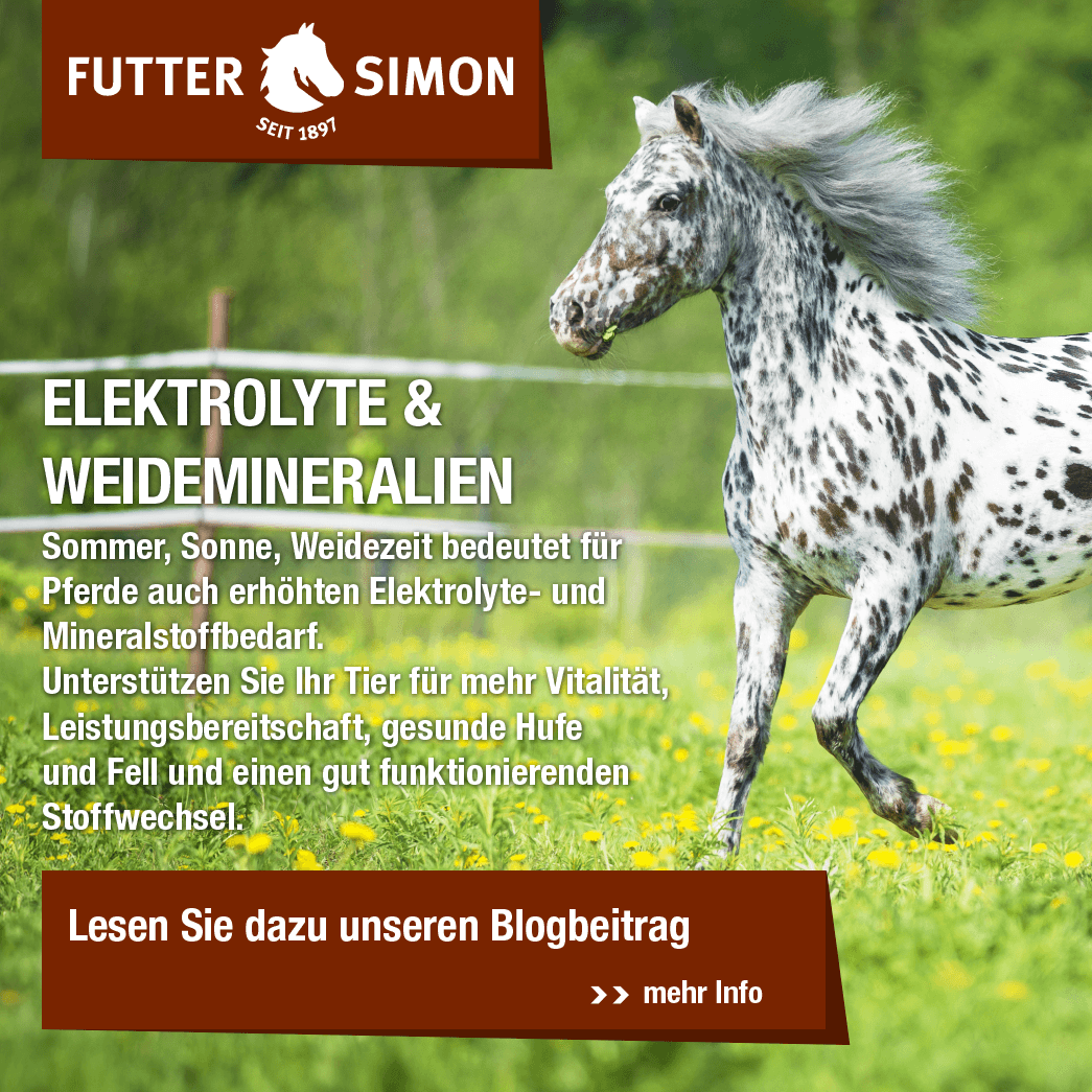 Blogbeitrag: Elektrolyte und Weidemineralien