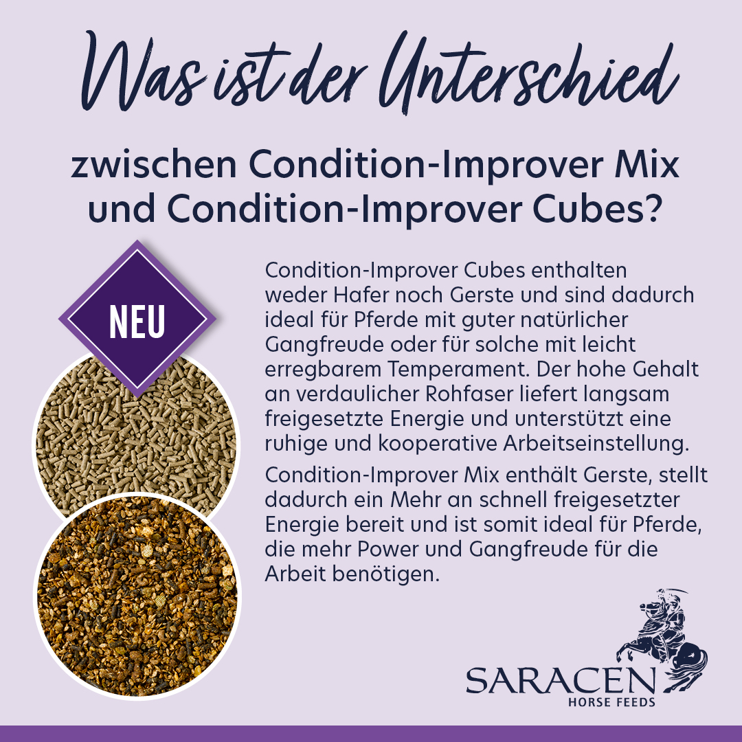 Saracen - Condition-Improver Cubes - kontrollierte Energie - Gewichtszunahme - Ausstrahlung