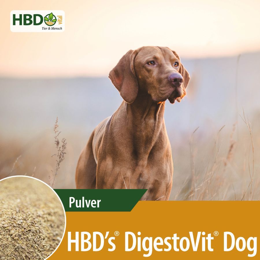 HBD-Agrar - HBD's® DigestoVit® Dog - innovative Darmkur für den Hund HBD-Agrar - HBD's® DigestoVit® Dog - innovative Darmkur für den Hund