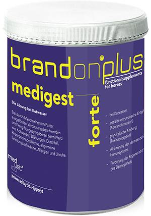 Medvetico - Brandon® plus medigest forte - bioaktive Lösung bei Kotwasser