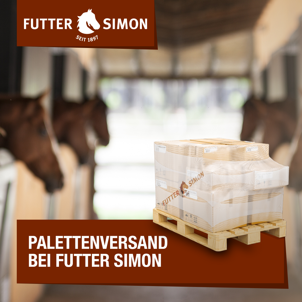 Kategorie: Palettenversand