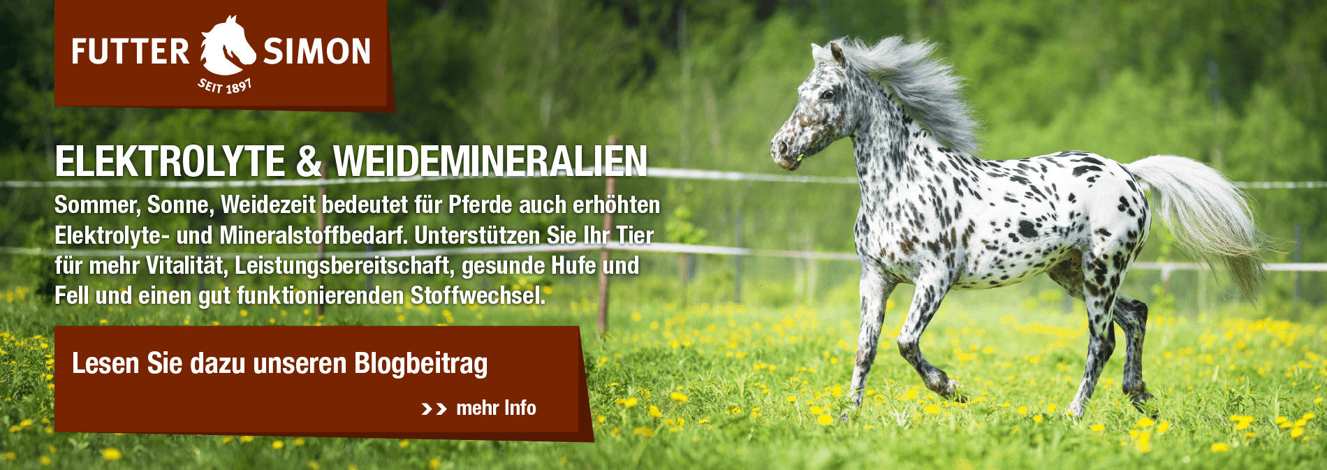 Blogbeitrag: Elektrolyte und Weidemineralien