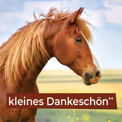 GladiatorPLUS Magazin 1-2025 GladiatorPLUS Magazin 1-2025 - kleines Dankeschön bei Ihrer Bestellung mit Code