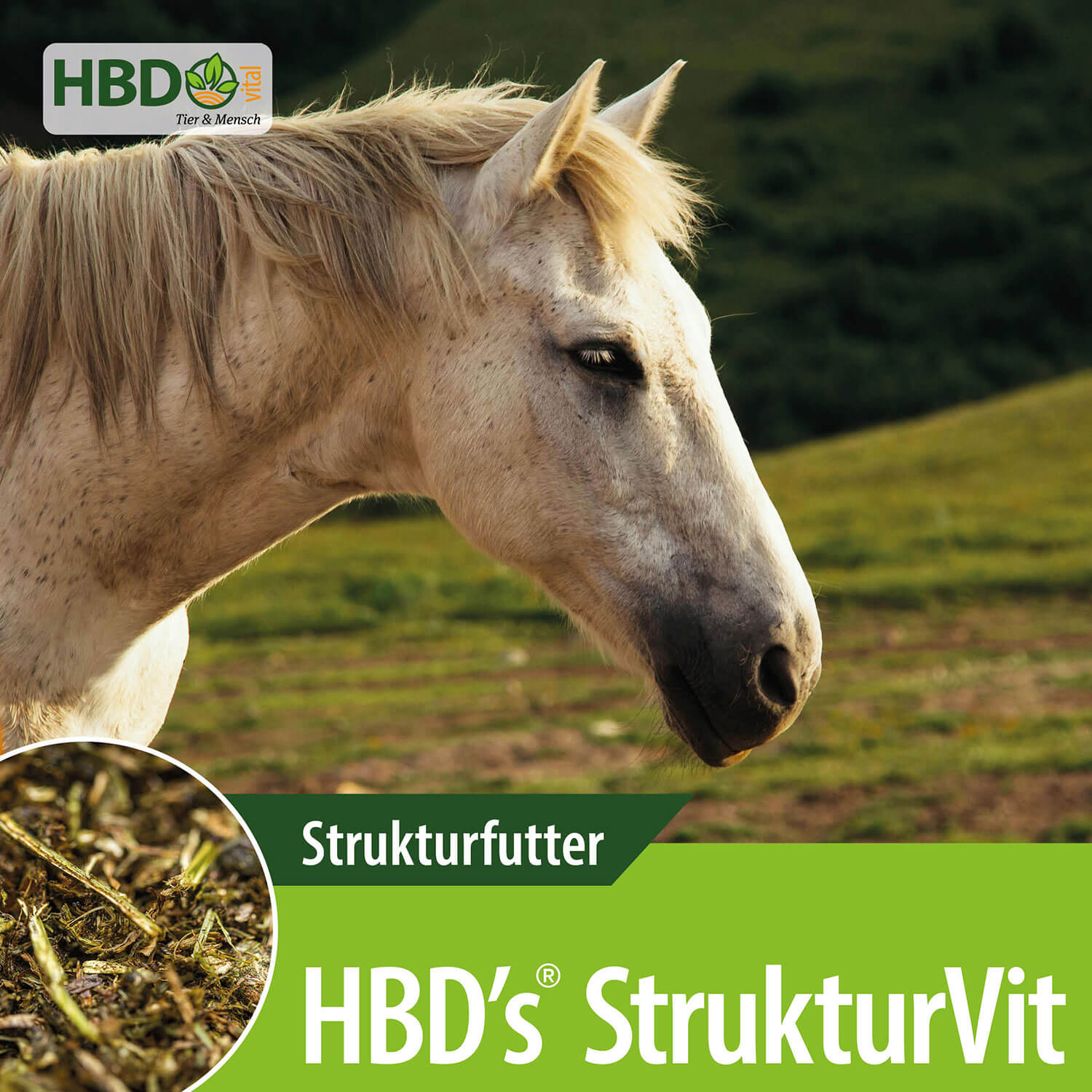 HBD-Agrar - HBD's® StrukturVit - Strukturfutter für Pferde ohne synthetische Zusätze, melassefrei HBD-Agrar - HBD's® StrukturVit - Strukturfutter für Pferde ohne synthetische Zusätze, melassefrei