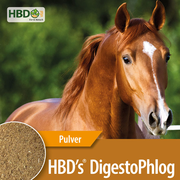 Produkt: HBD DigestoPhlog