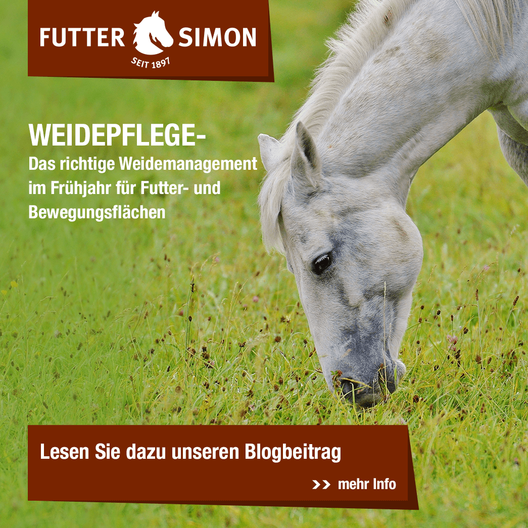 Blogbeitrag: Weidepflege im Frühjahr