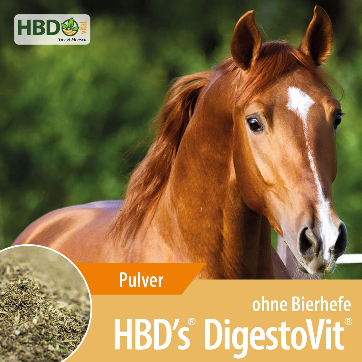 HBD-Agrar - HBD's® DigestoVit® - Nutrazeutikum für den Darmtrakt, ohne Bierhefe HBD-Agrar - HBD's® DigestoVit® - Nutrazeutikum für den Darmtrakt, ohne Bierhefe