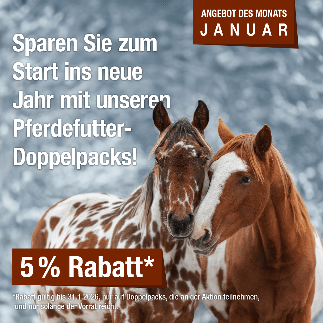 Monatsaktion Januar 2026