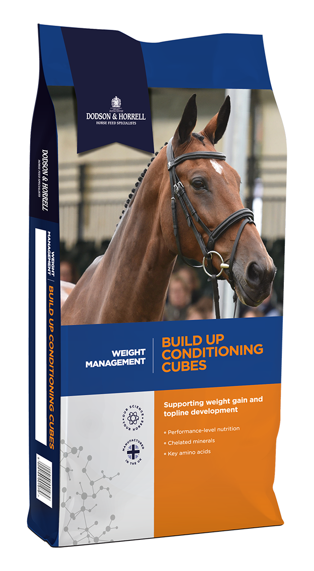 Dodson & Horrell - Build Up Cubes - Minipalette mit 15 Sack Dodson & Horrell - Build Up Cubes - Minipalette mit 15 Sack