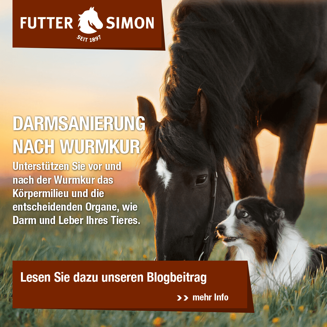 Blogbeitrag: Darmsanierung nach Wurmkur