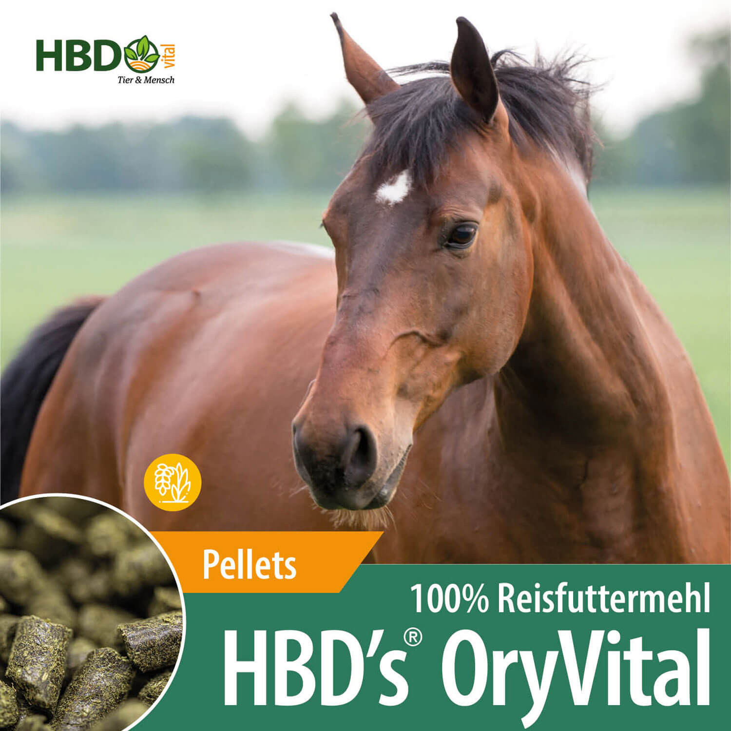 HBD-Agrar - HBD's® OryVital - pelletiertes, getreidefreies Ergänzungsmittel aus 100% Reisfuttermehl HBD-Agrar - HBD's® OryVital - pelletiertes, getreidefreies Ergänzungsmittel aus 100% Reisfuttermehl