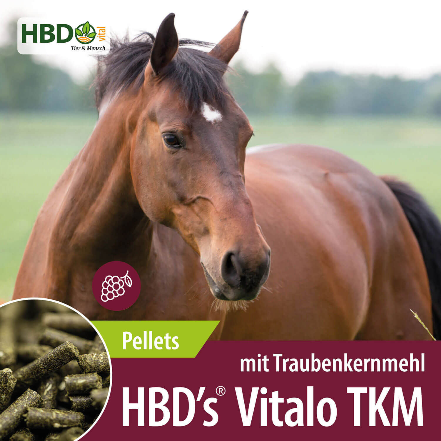 HBD-Agrar - HBD's® Vitalo - TKM (Mit Traubenkernmehl) - Ausgewogenes Kraftfutter für Pferde HBD-Agrar - HBD's® Vitalo - TKM (Mit Traubenkernmehl) - Ausgewogenes Kraftfutter für Pferde