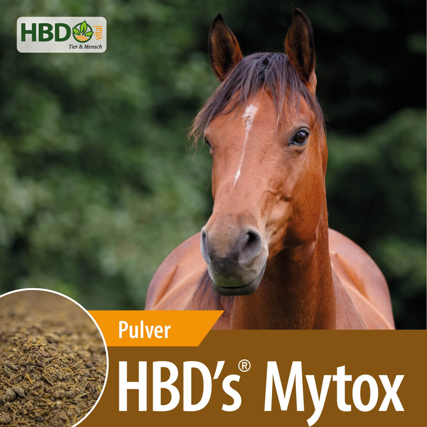 HBD-Agrar - HBD's® MYTOX® - Futteradditiv zur Deaktivierung von Pilzgiften in der Tierfütterung HBD-Agrar - HBD's® MYTOX® - Futteradditiv zur Deaktivierung von Pilzgiften in der Tierfütterung